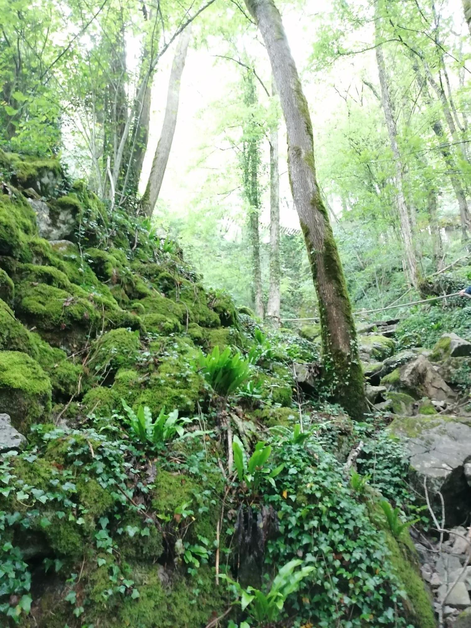 The Green Apple Durbuy Εξωτερικό φωτογραφία